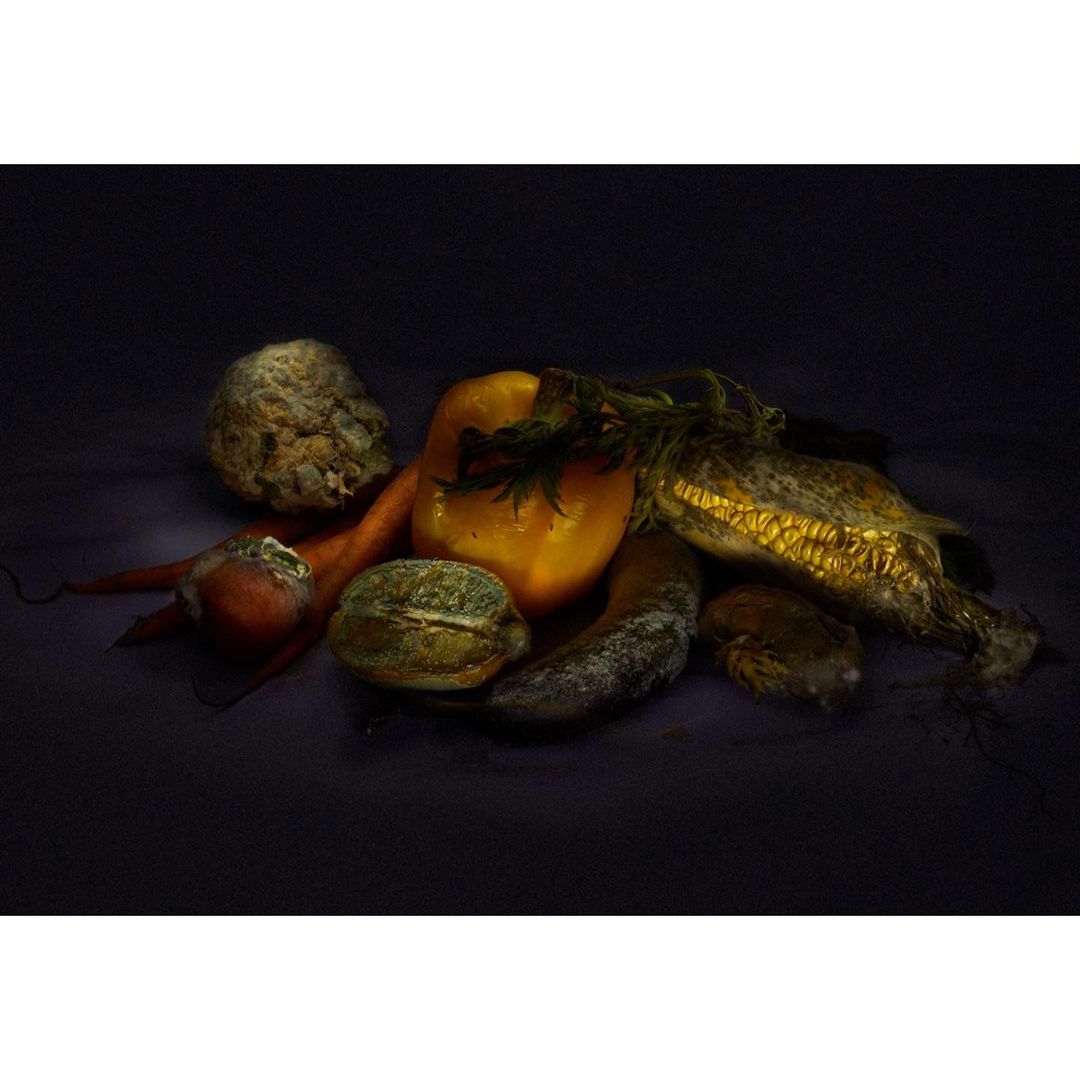 Zeit Magazin |  Dec. 20