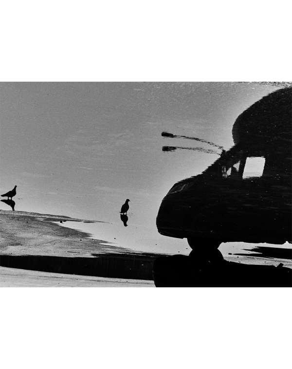 Jack Davison