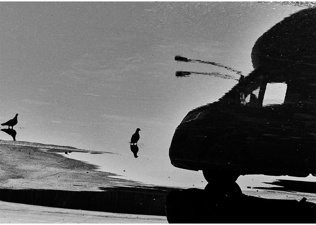 Jack Davison