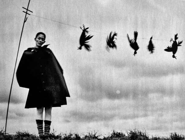 Jack Davison