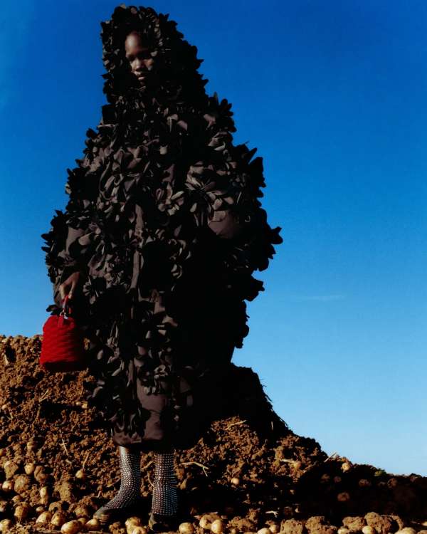 Tom Johnson