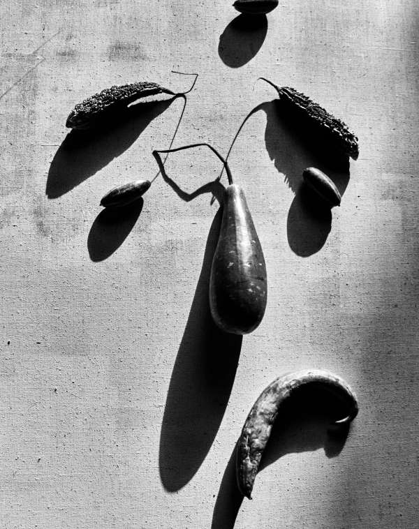 Jack Davison