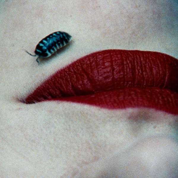 Jack Davison