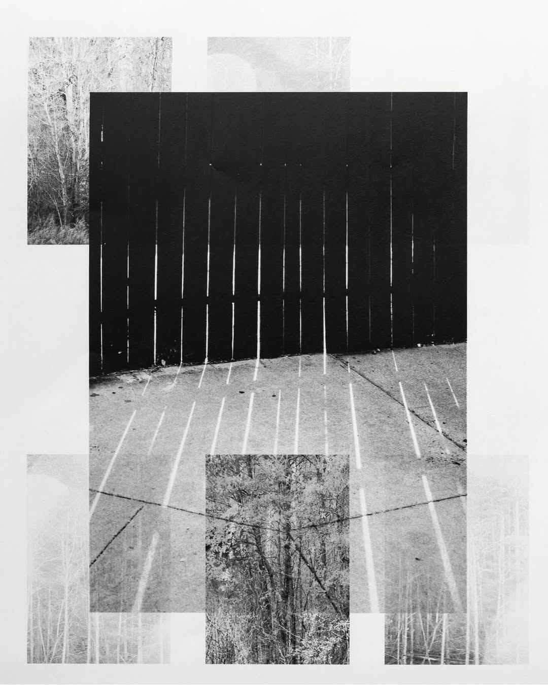 Daniel Shea X True Photo Journal Feb. 26