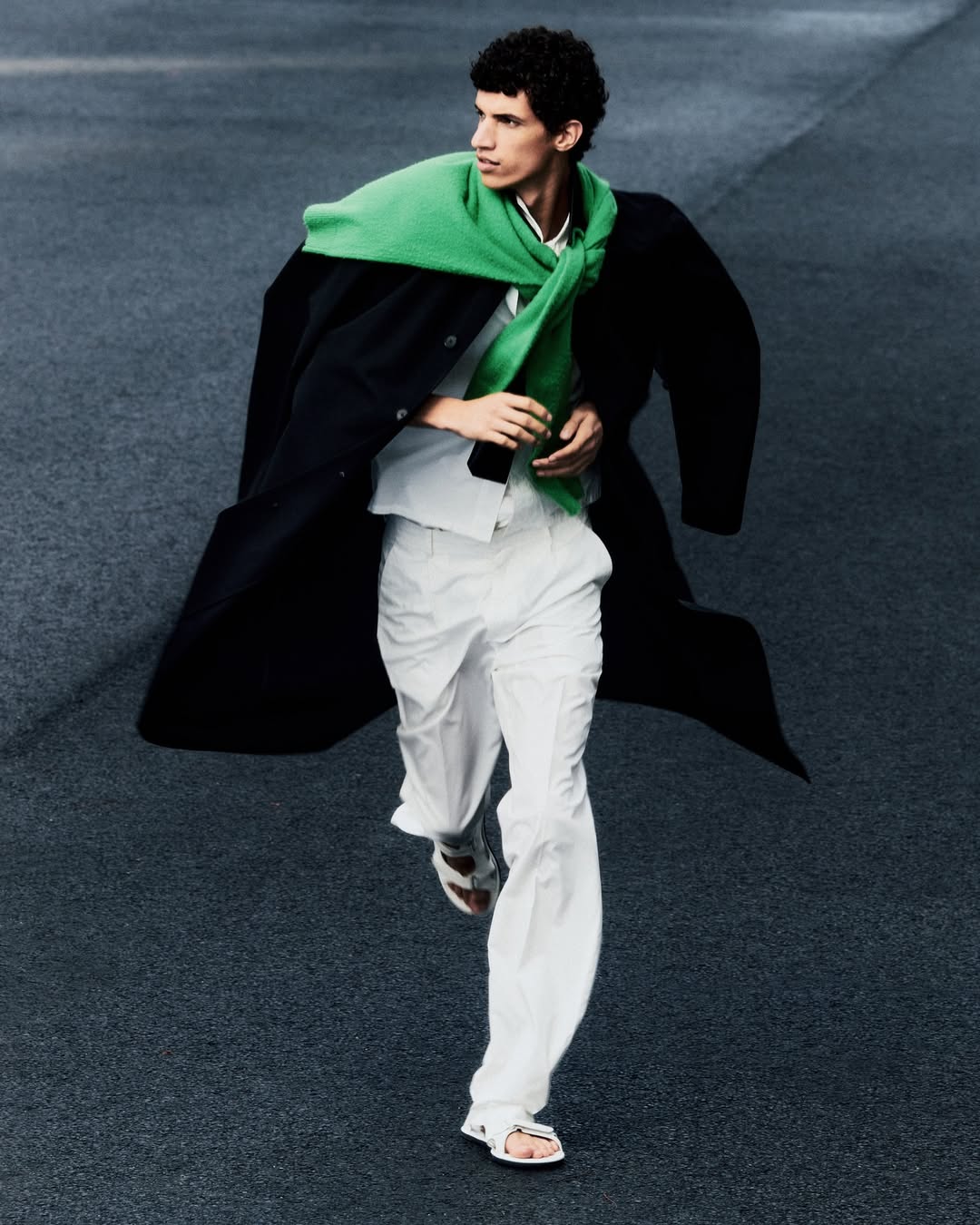 Daniel Shea X Auralee