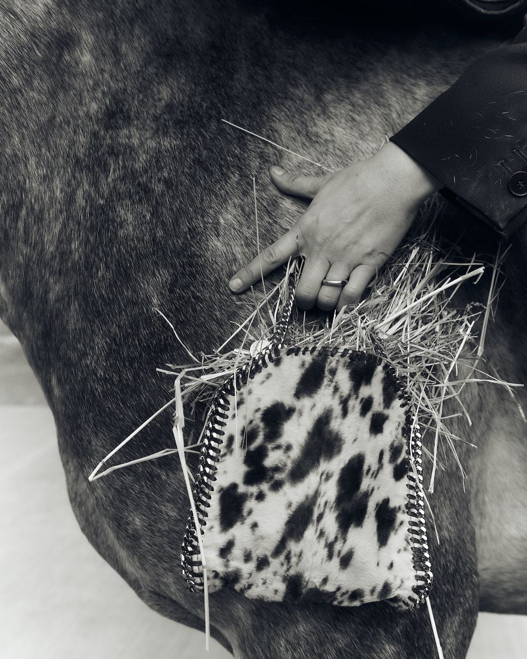 Stella McCartney |  Nov. 23