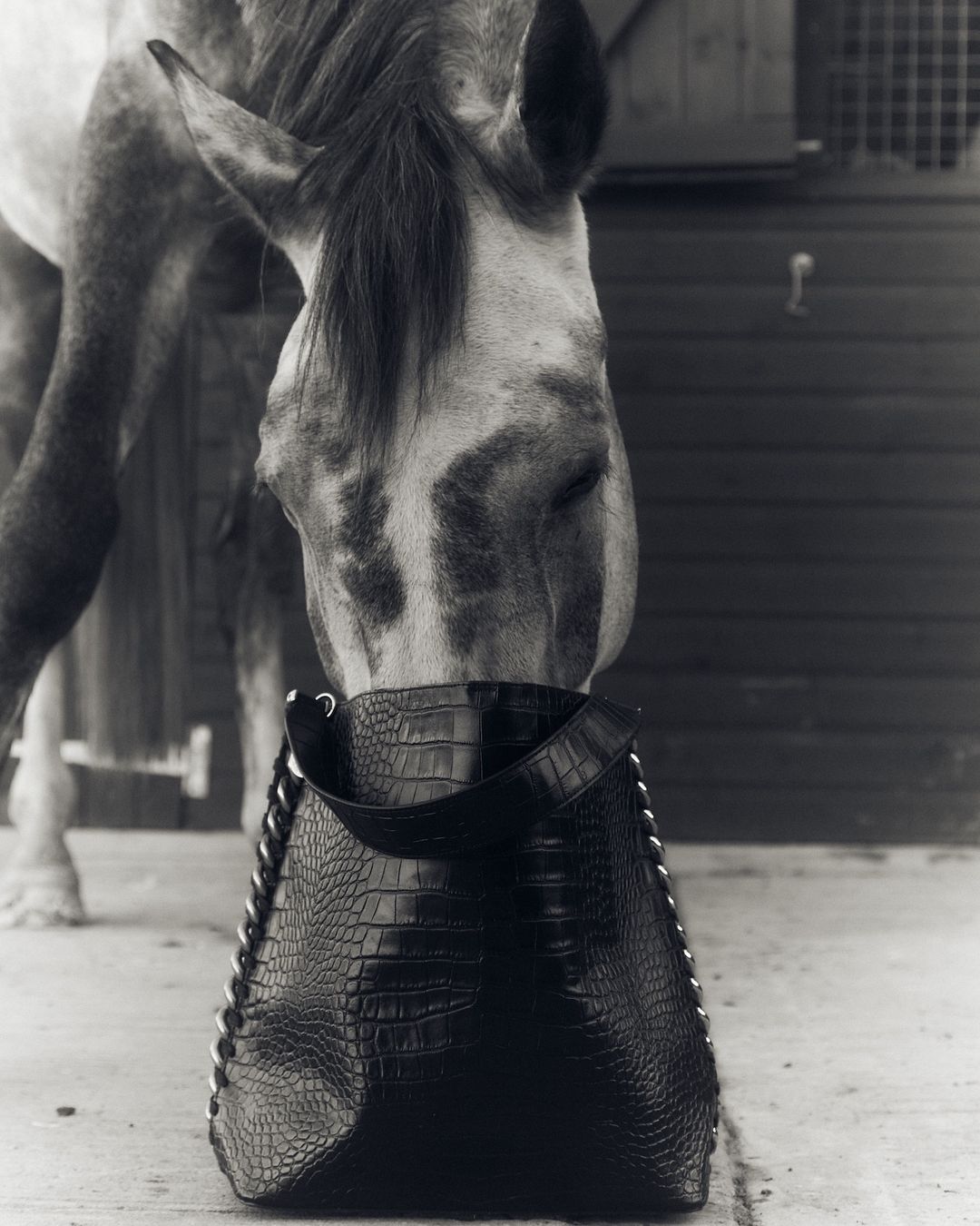 Stella McCartney |  Nov. 23