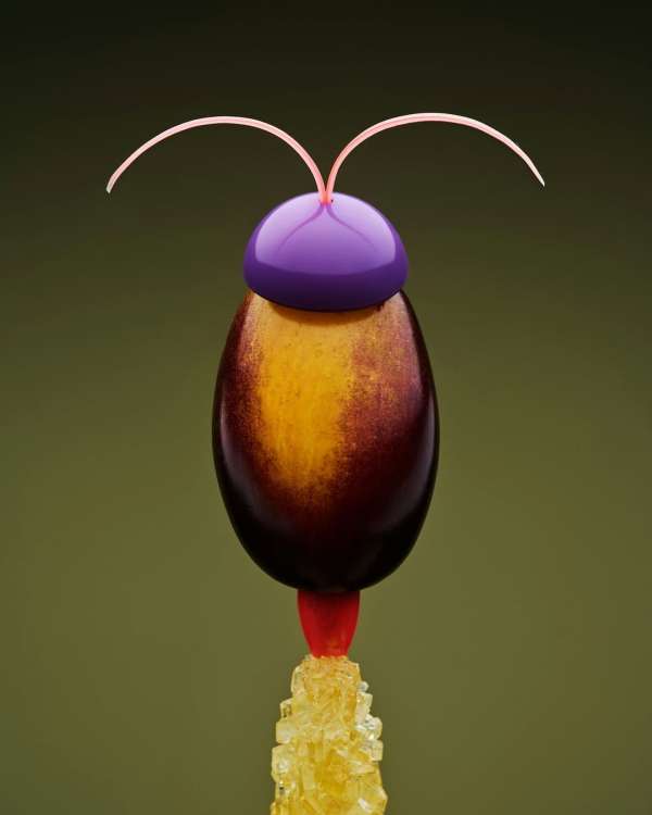 Carl Kleiner