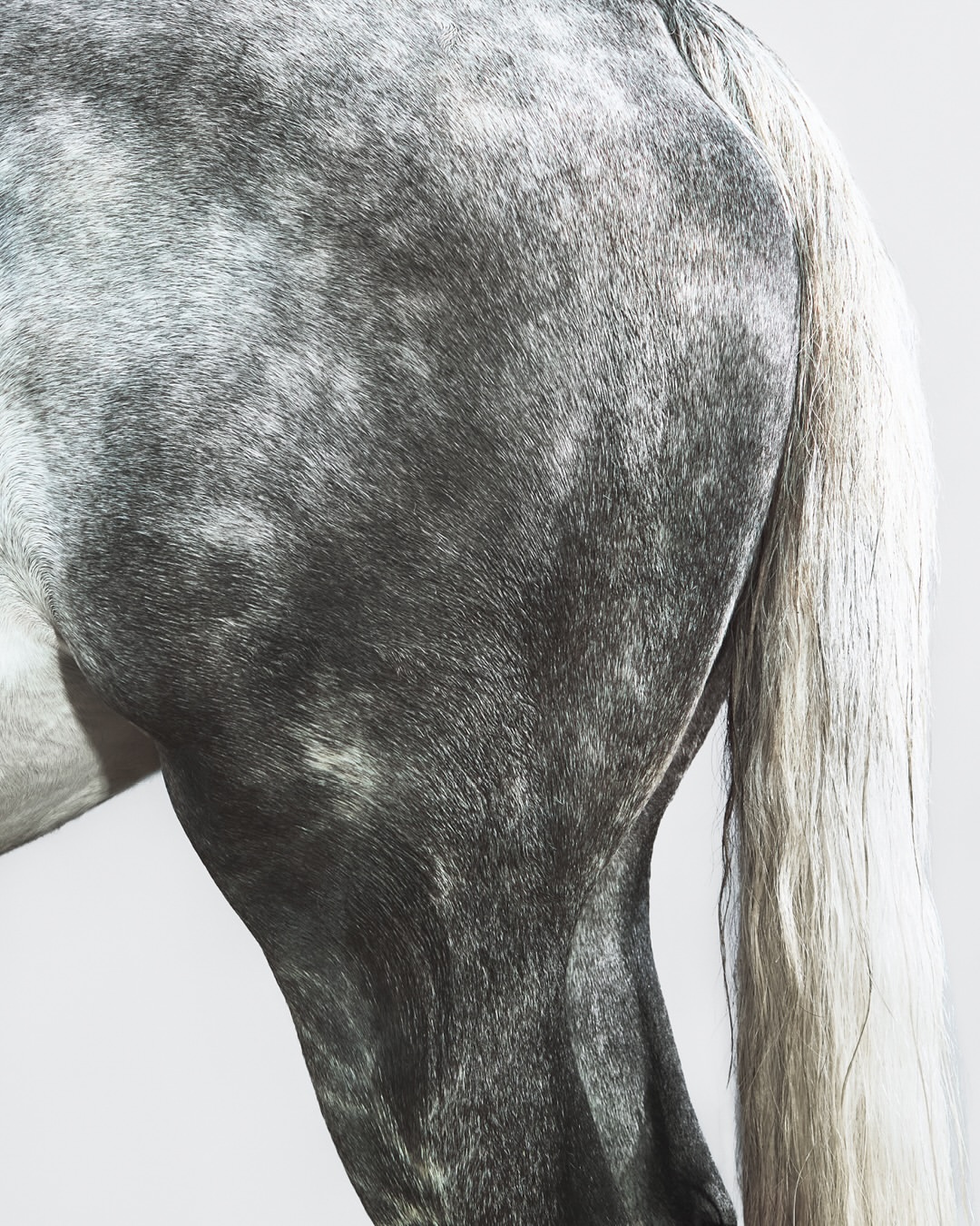 Daisy Walker X Totême