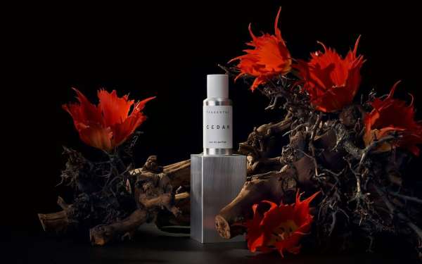 Tangent GC. Full production services. Shot ...