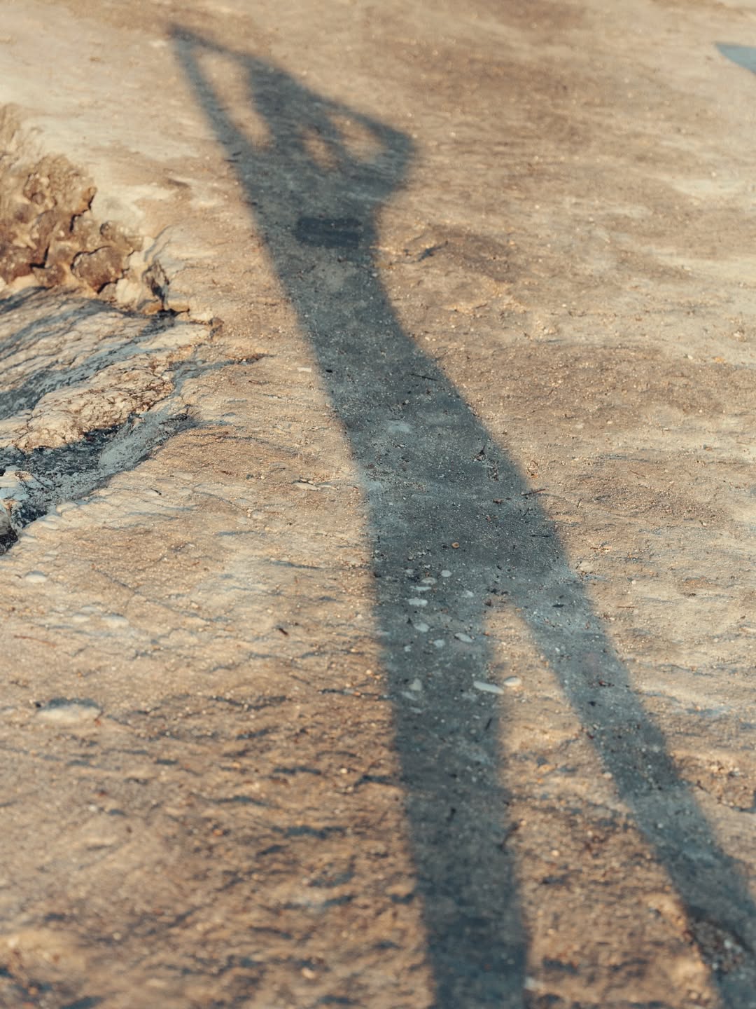 Miro Lovejoy Teplitzky