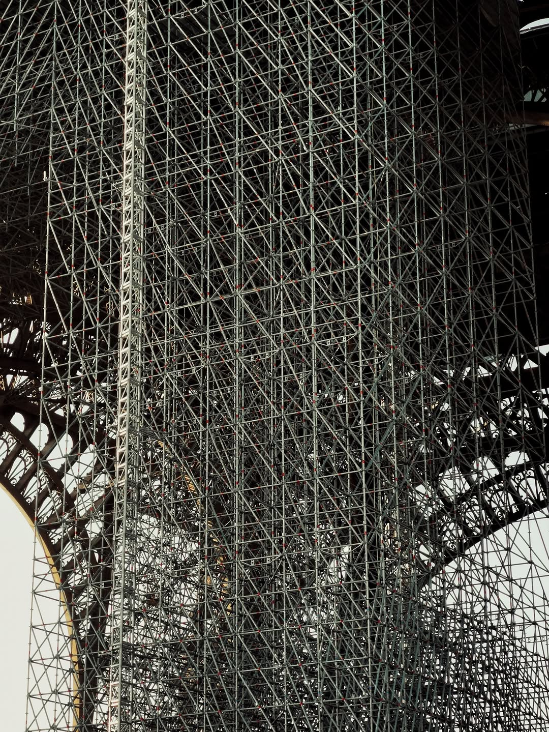 Miro Lovejoy Teplitzky