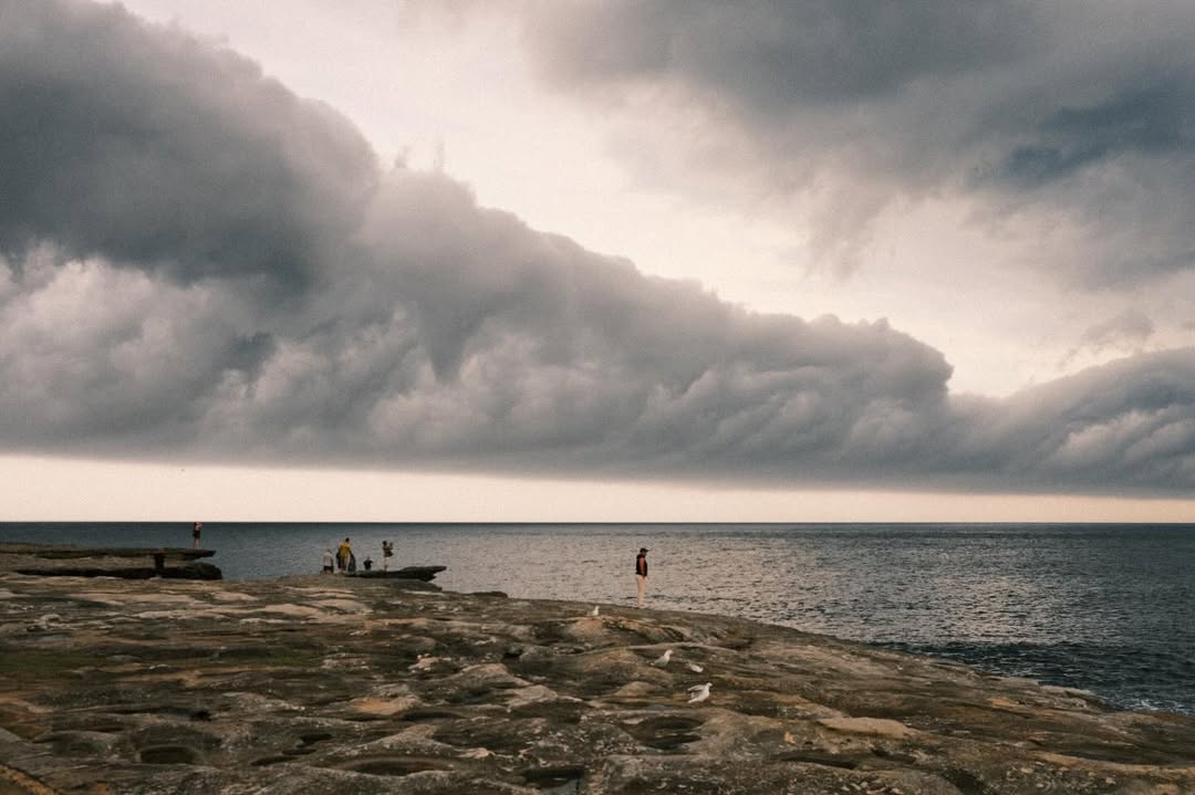 Mitch Noakes X Australia