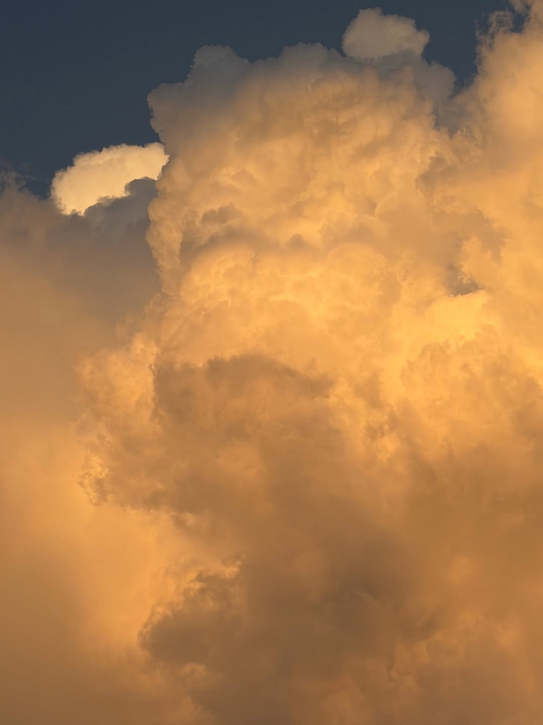 Mitch Epstein Aug. 26