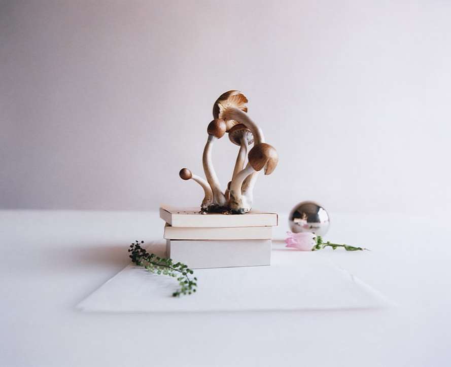 WSJ. Magazine |  Mar. 24