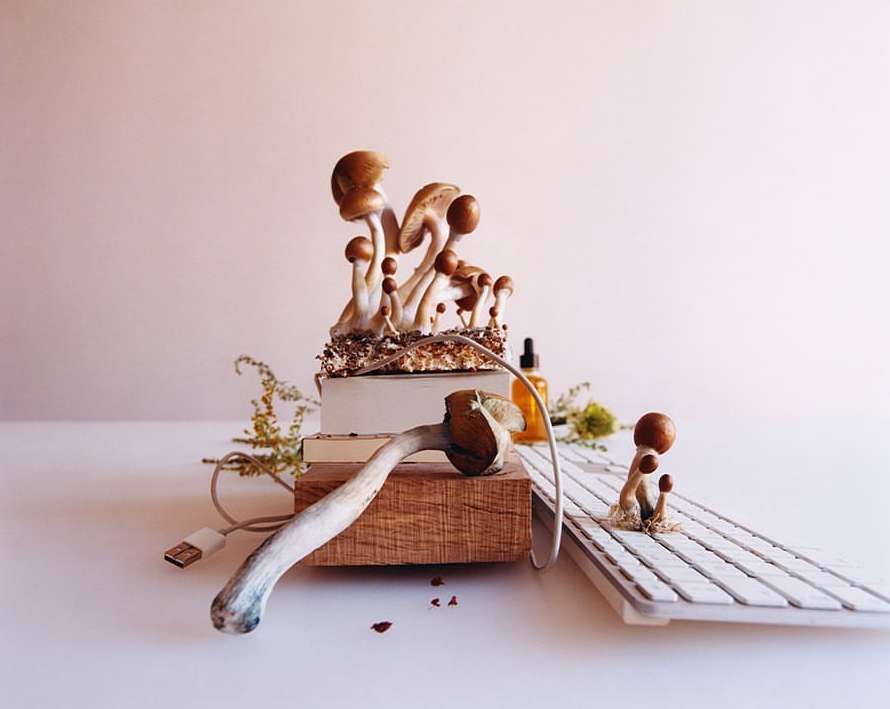 WSJ. Magazine |  Mar. 24