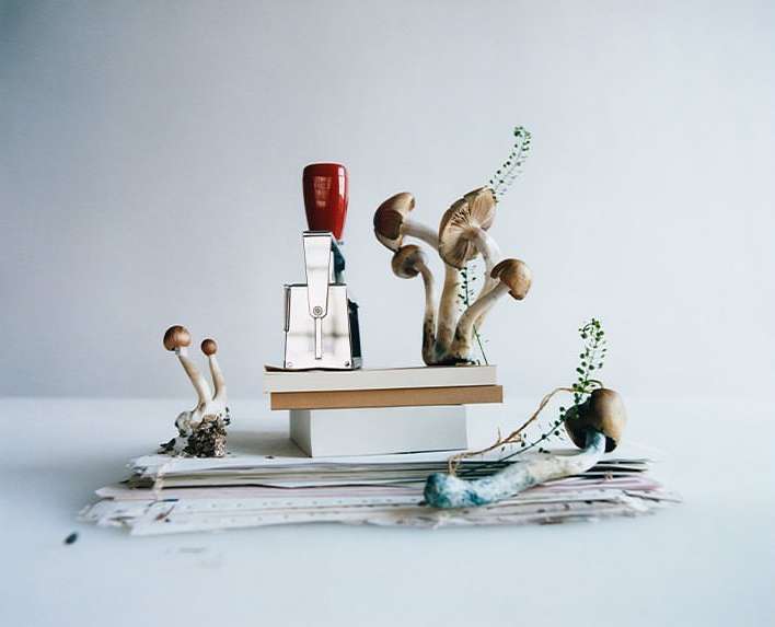 WSJ. Magazine |  Mar. 24