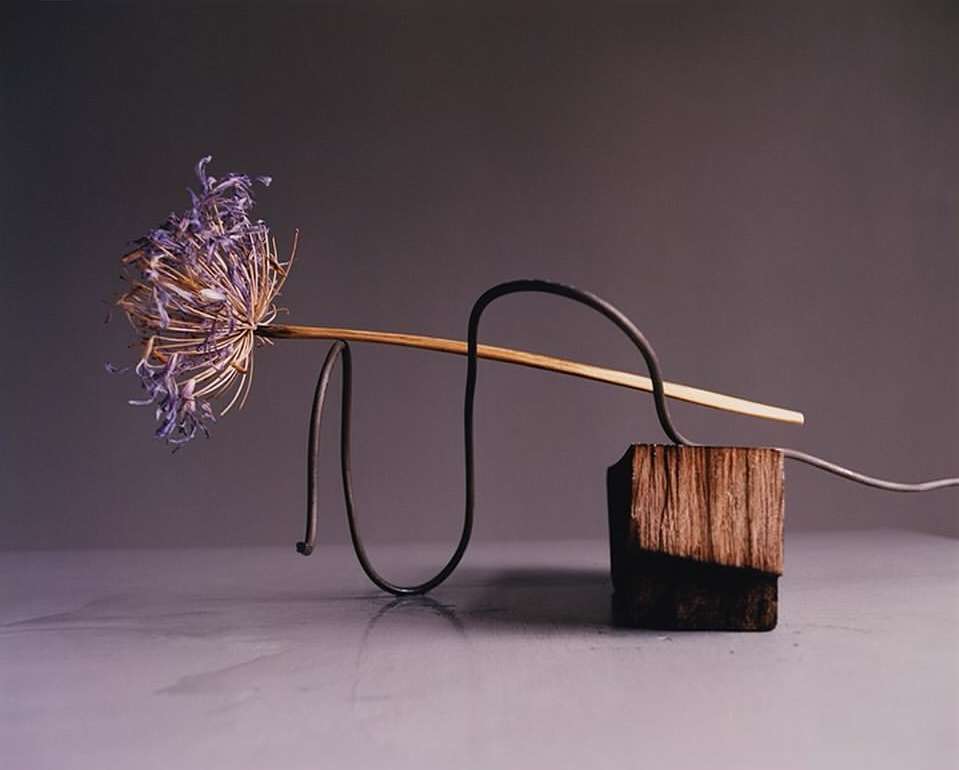 David Abrahams