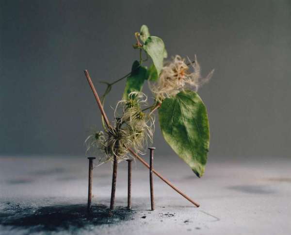 David Abrahams