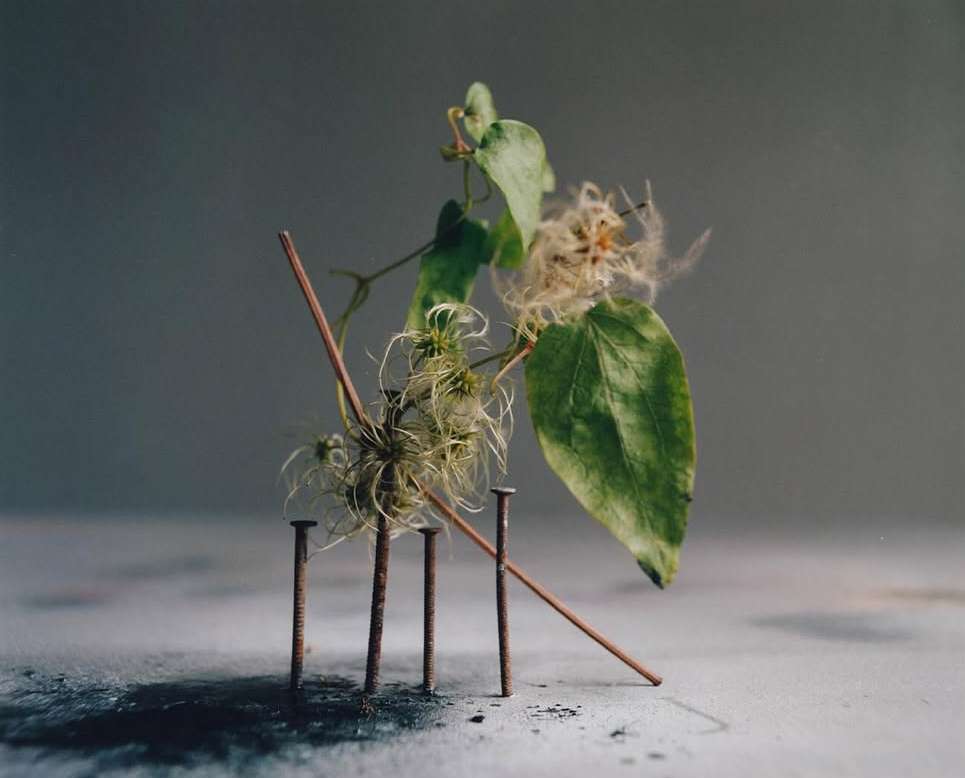 David Abrahams