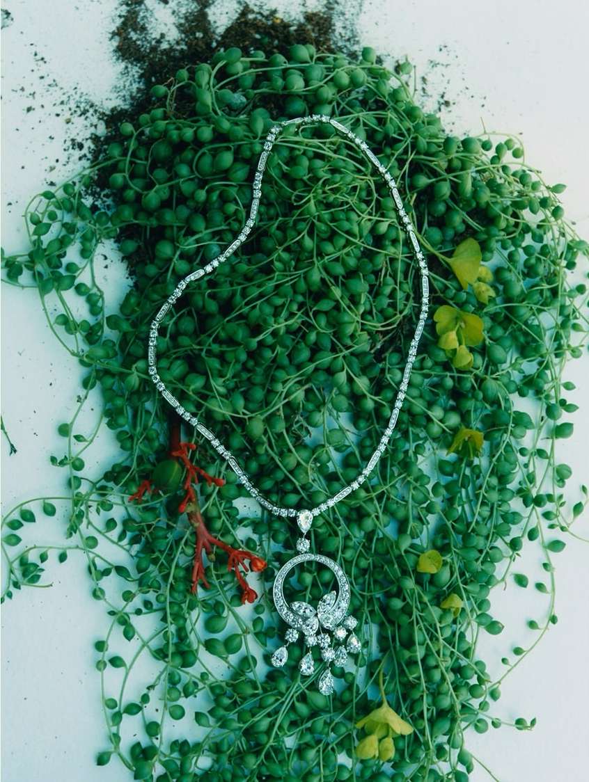 David Abrahams X Nature