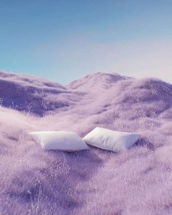 Molistudio