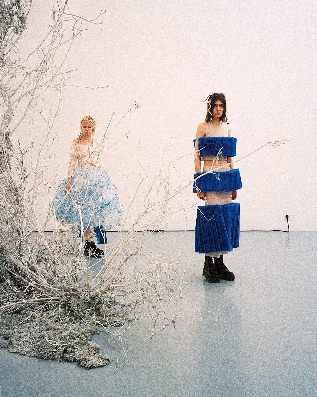 Caroline Hu |  Apr. 23