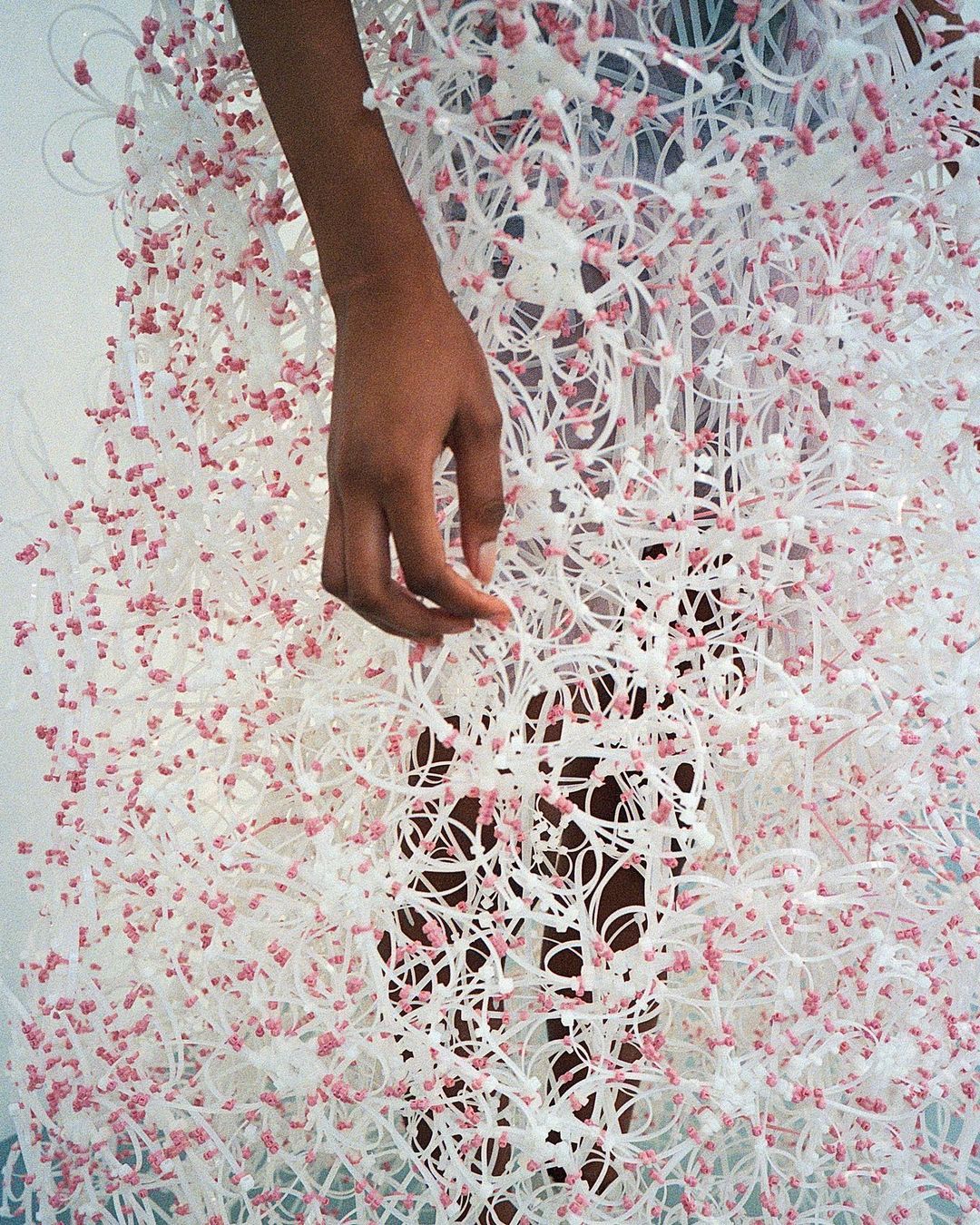 Caroline Hu |  Apr. 23