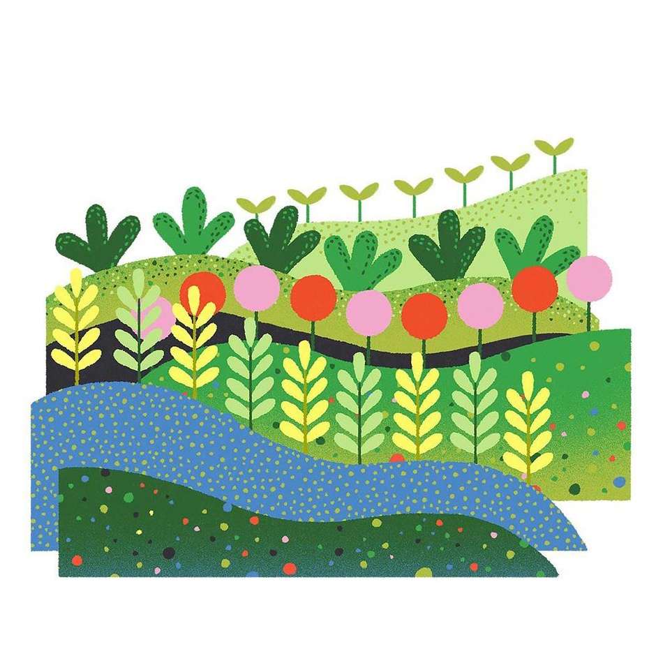 RICS MODUS |  Jul. 23