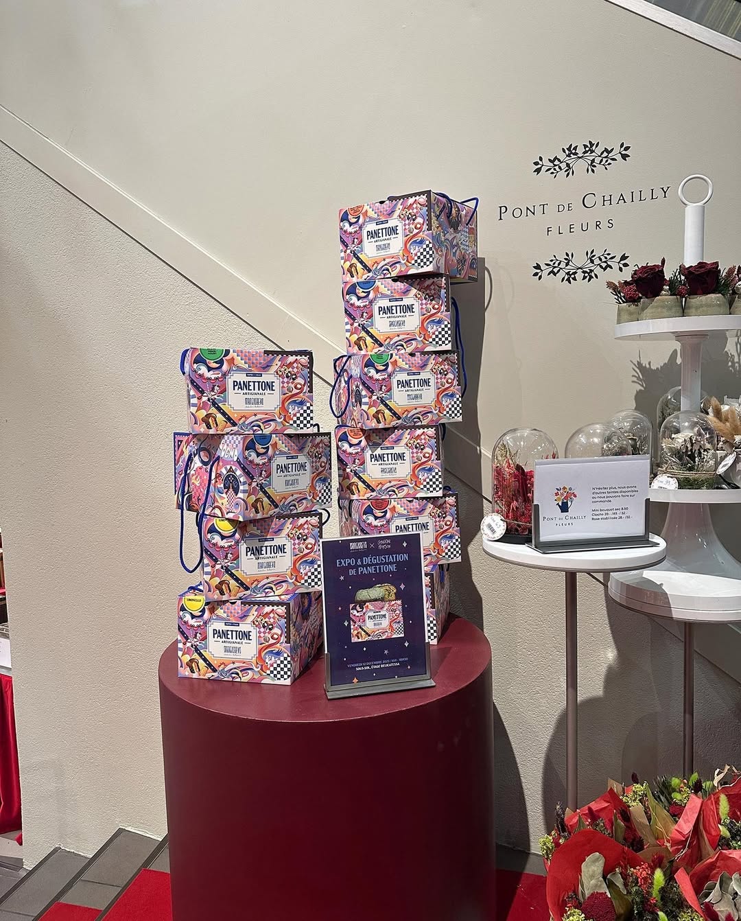 Catherine Pearson X Mangiobevo