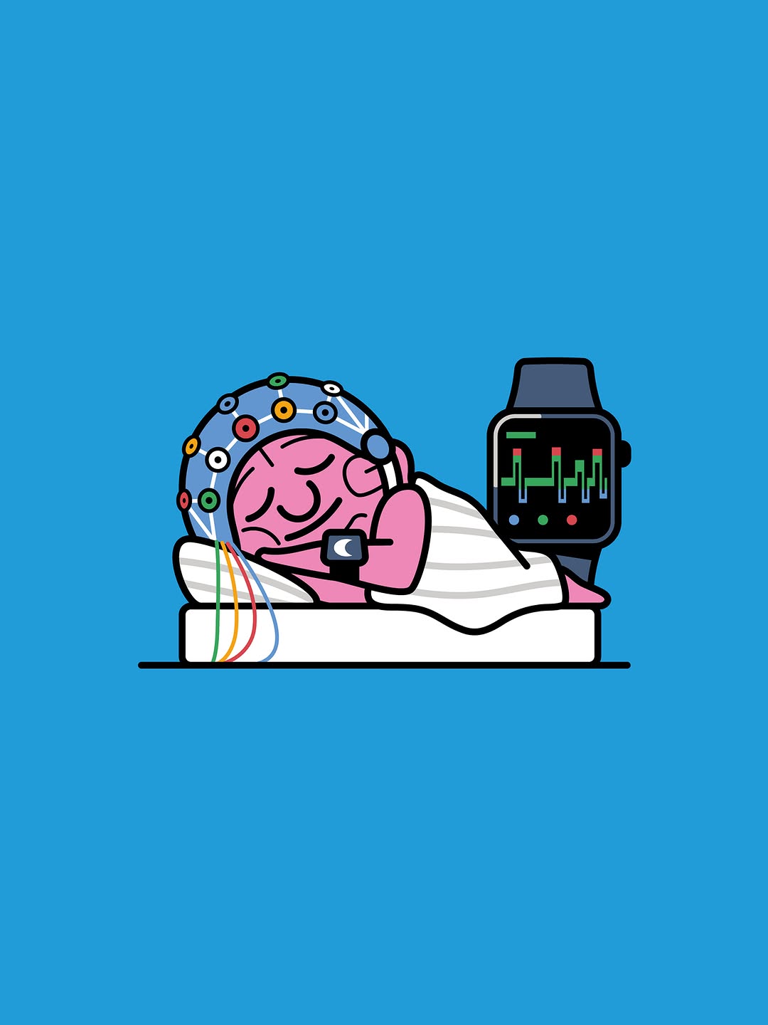 Sam Peet X New Scientist
