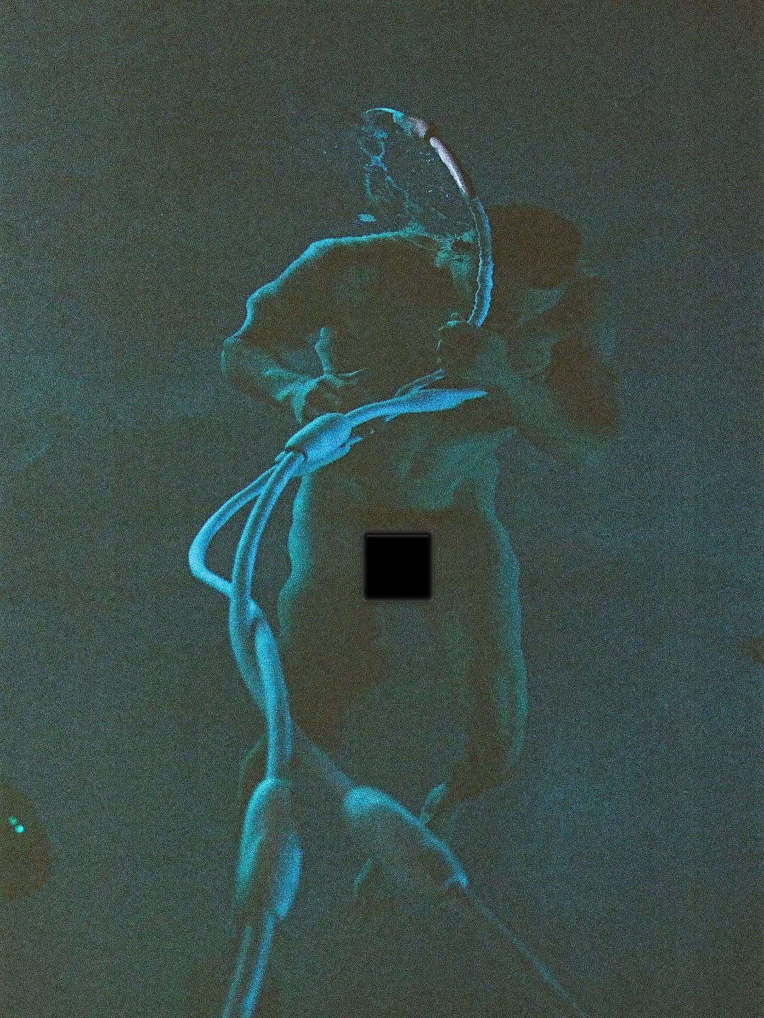 Menelik Puryear