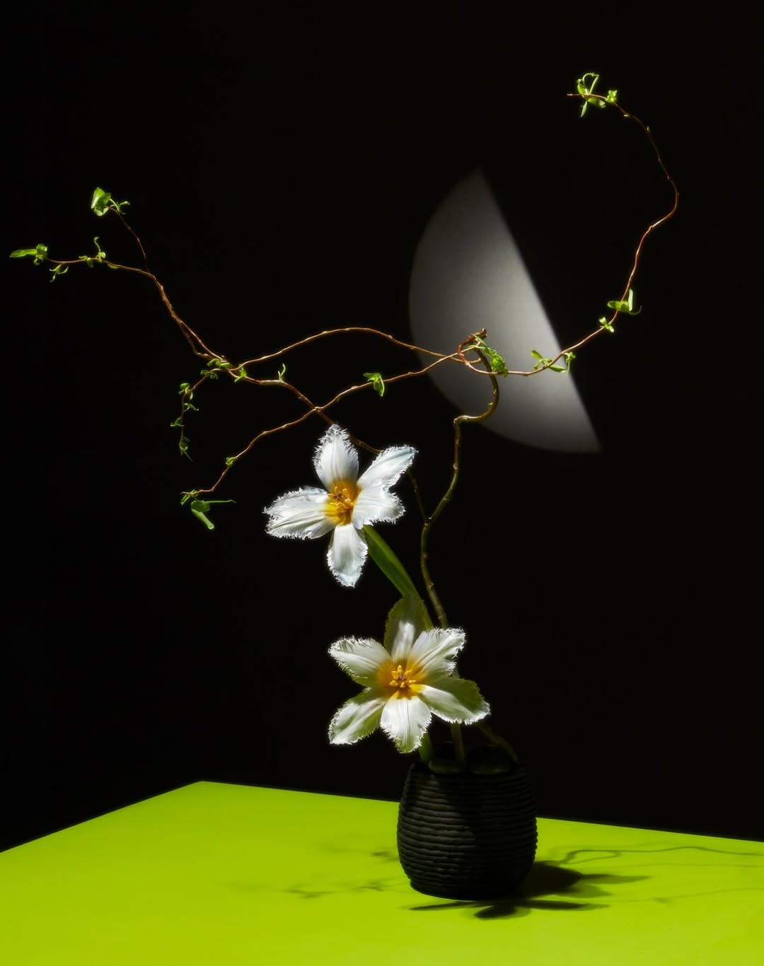 Matteo Rolfi Mar. 26