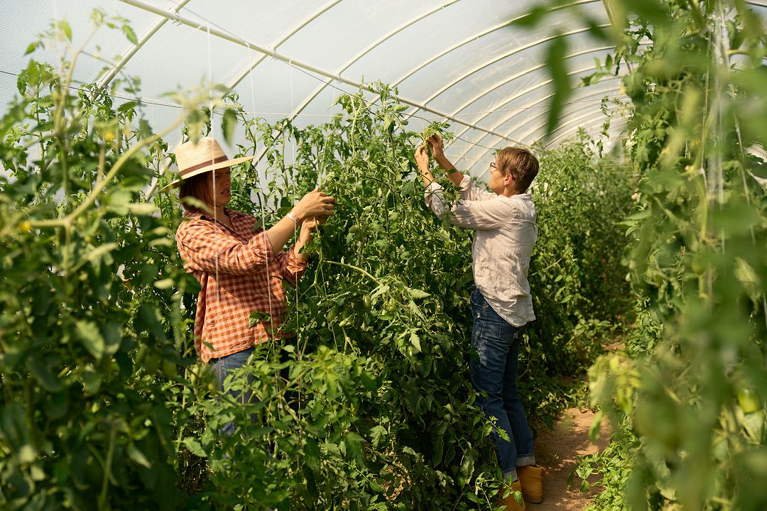Red Acre Farm CSA |  Jun. 23