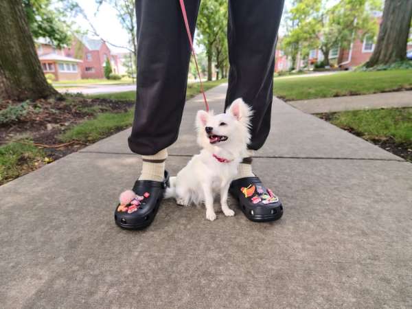 Spring is here! A fun look for a classic br...