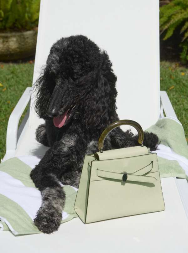 @itspaulasoares for Veronica Beard Spring C...