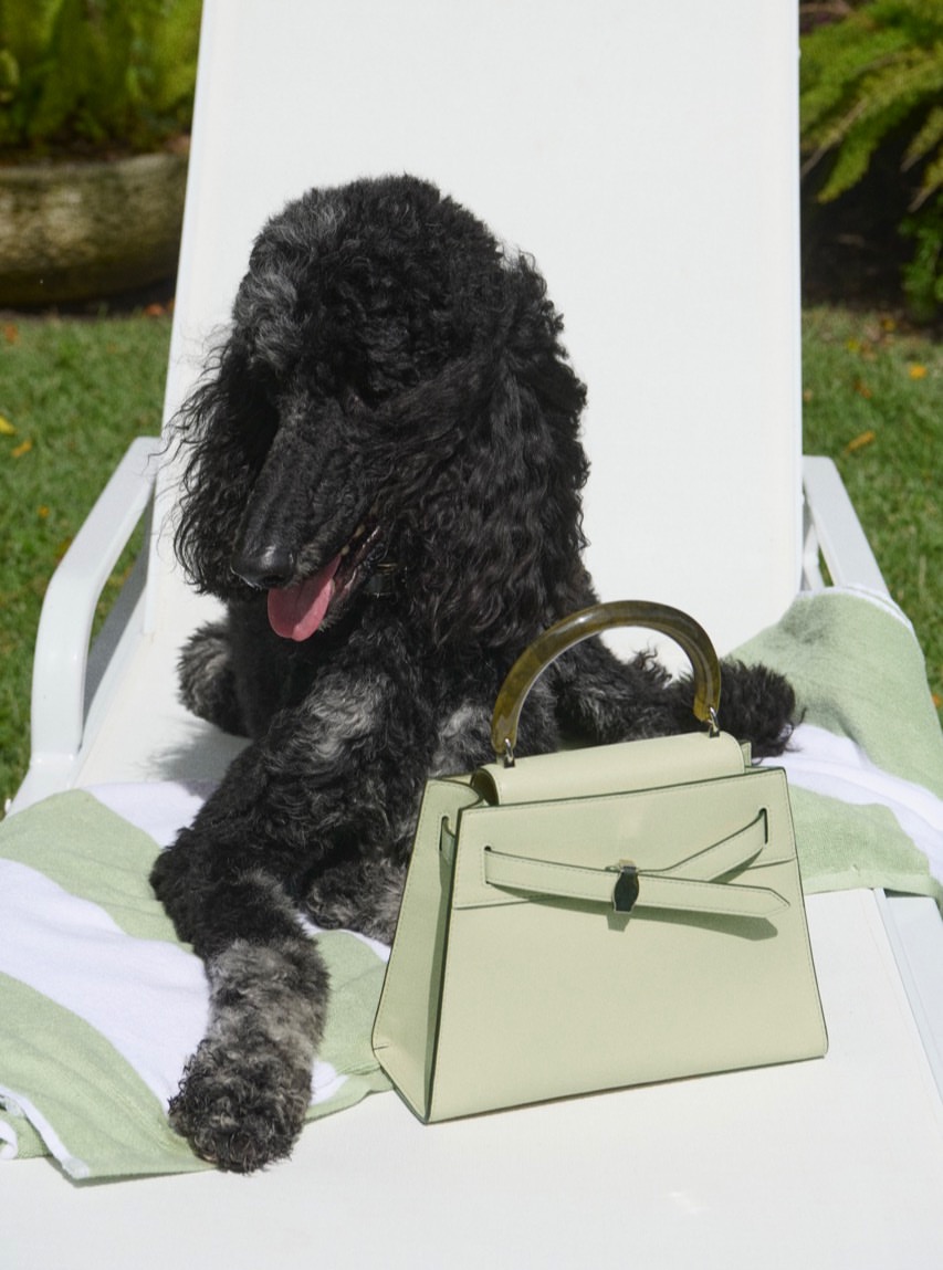 @itspaulasoares for Veronica Beard Spring Campaign...