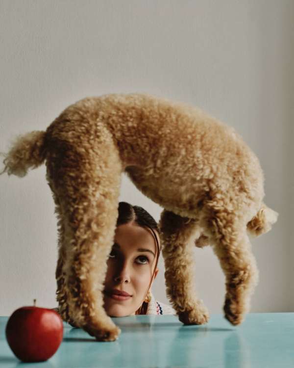 DOGUE cover for Vogue by @paulhempstead fea...