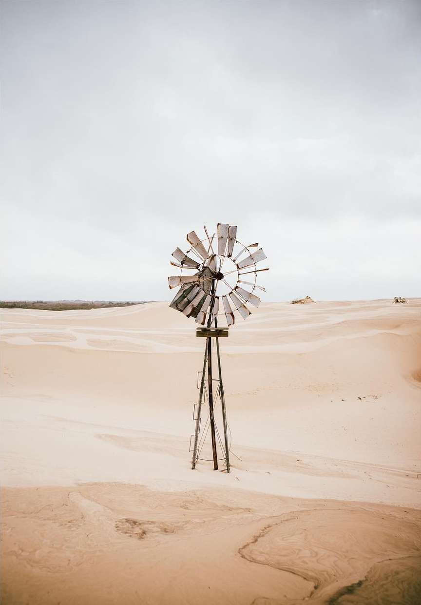 Garden & Gun |  Jan. 23