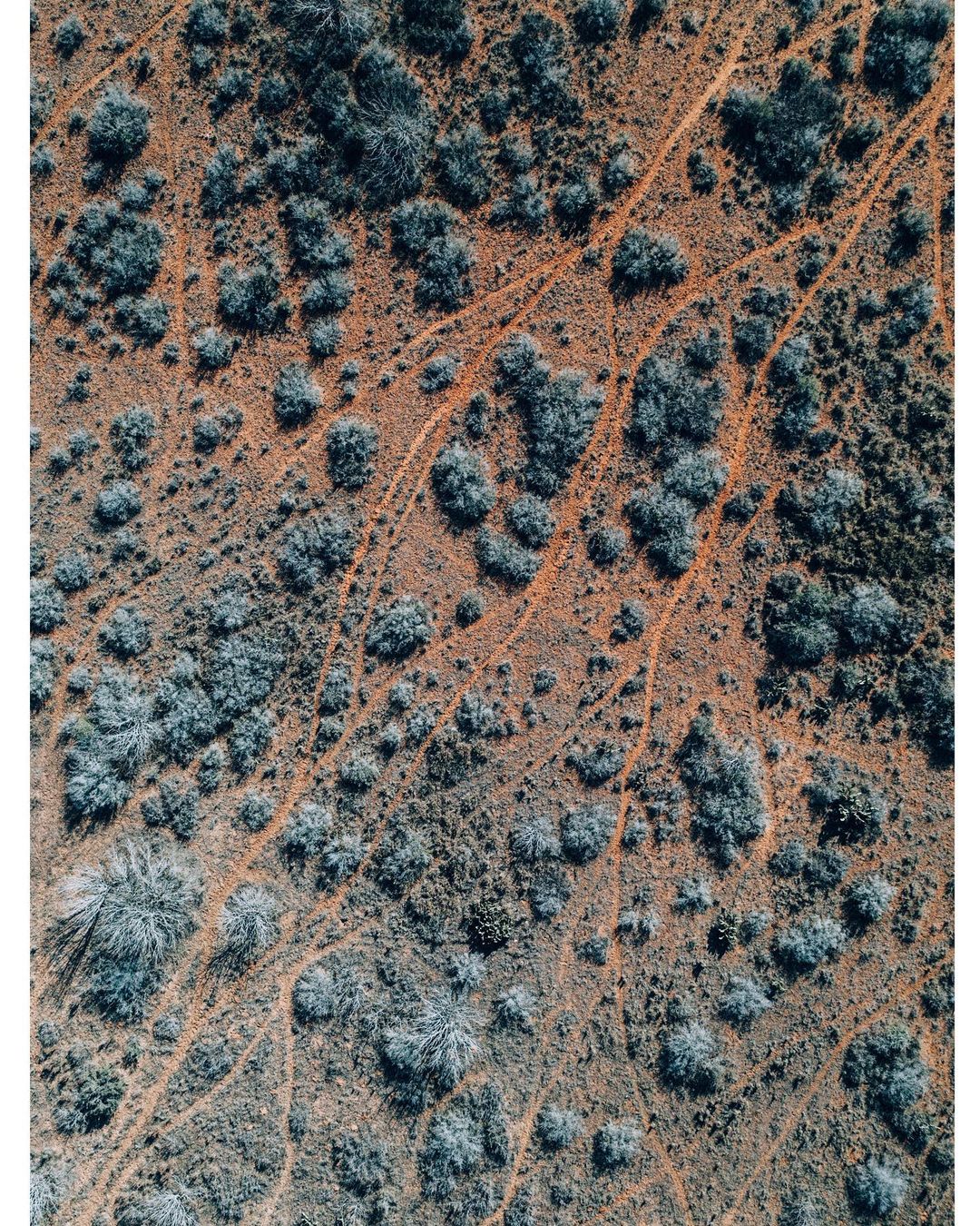 Garden & Gun |  Jan. 23