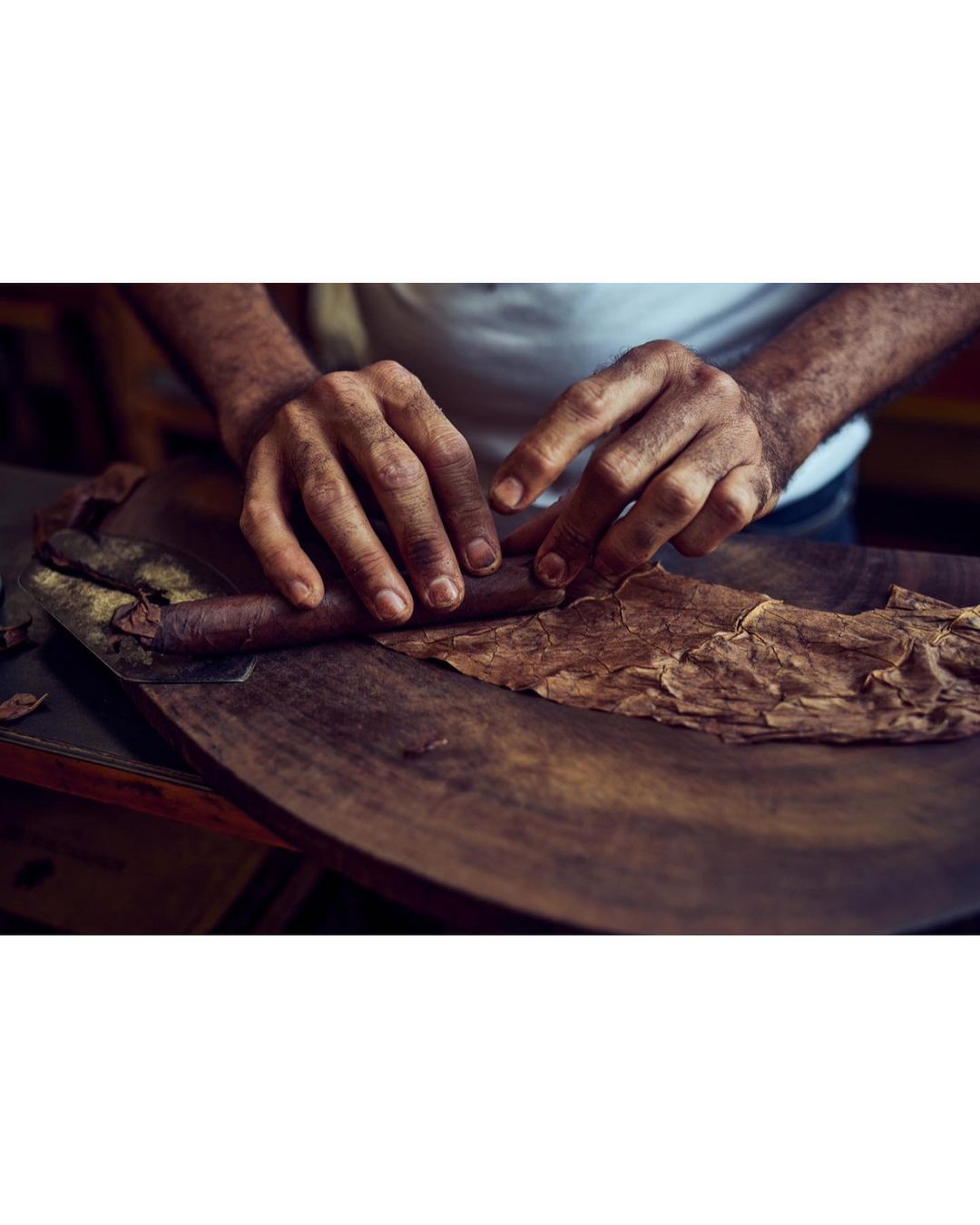 Davidoff Cigars |  Jan. 23