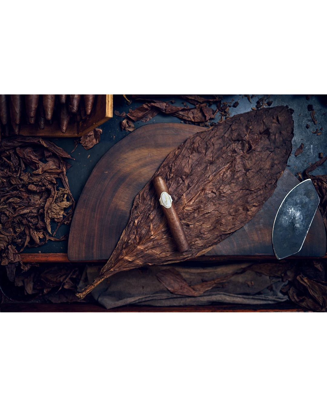 Davidoff Cigars |  Jan. 23