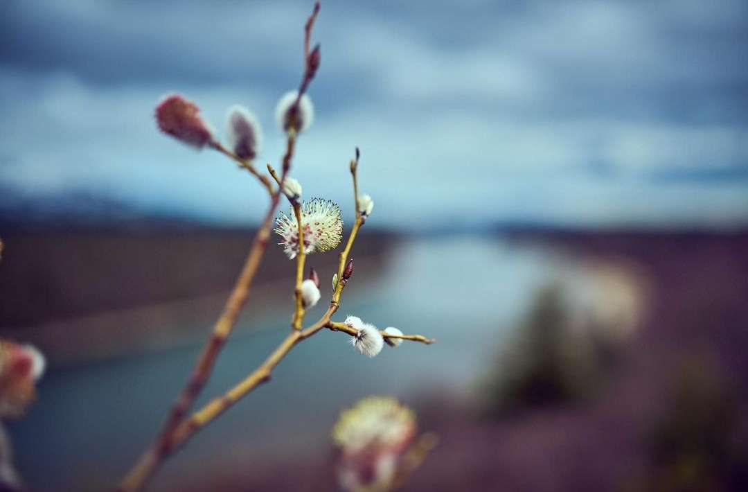 Bristol Bay Native Corporation |  Sep. 23