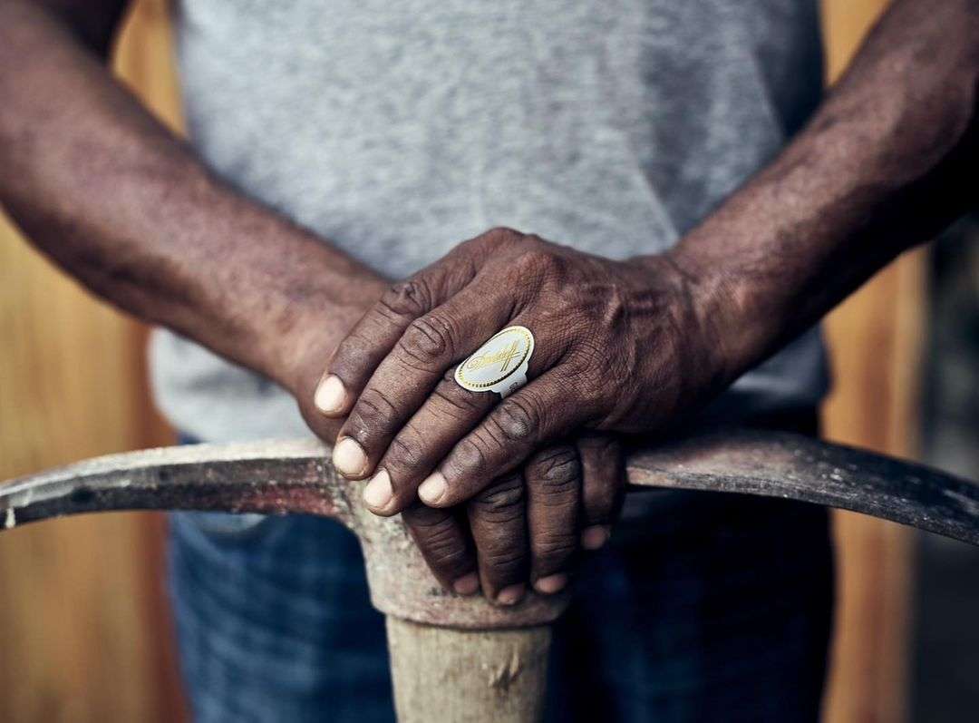 Davidoff Cigars |  Oct. 23