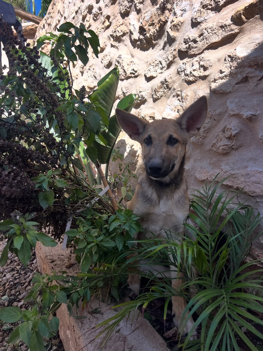 Julia Rogowska Nov. 25