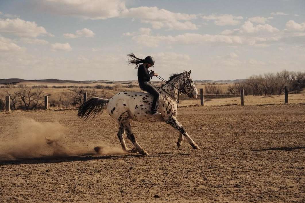 Nils Ericson X Nothing Apr. 26