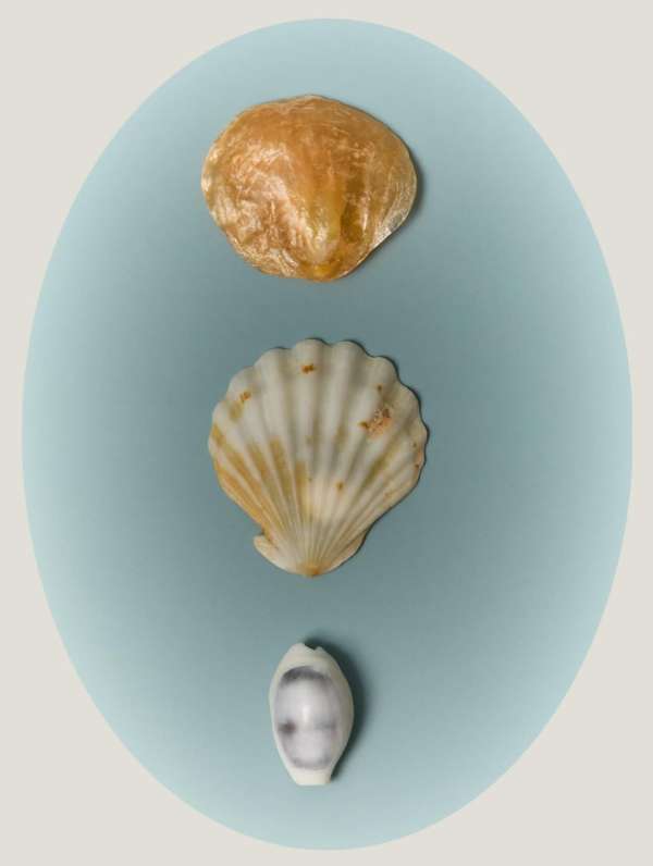 Nocera&Ferri