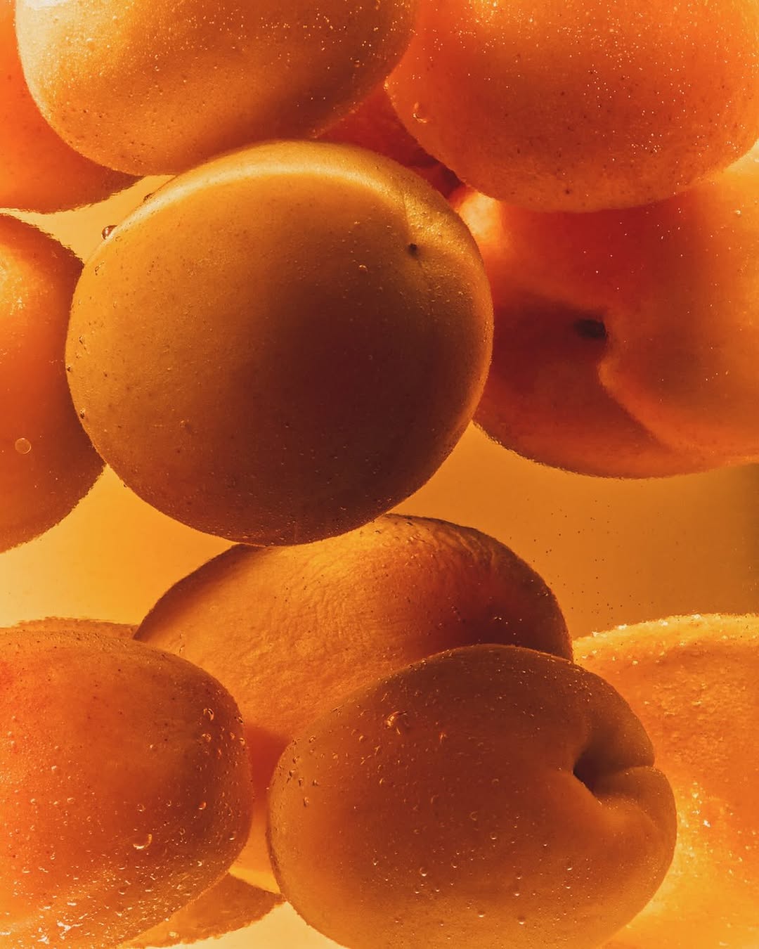 Nocera&Ferri Jul. 25