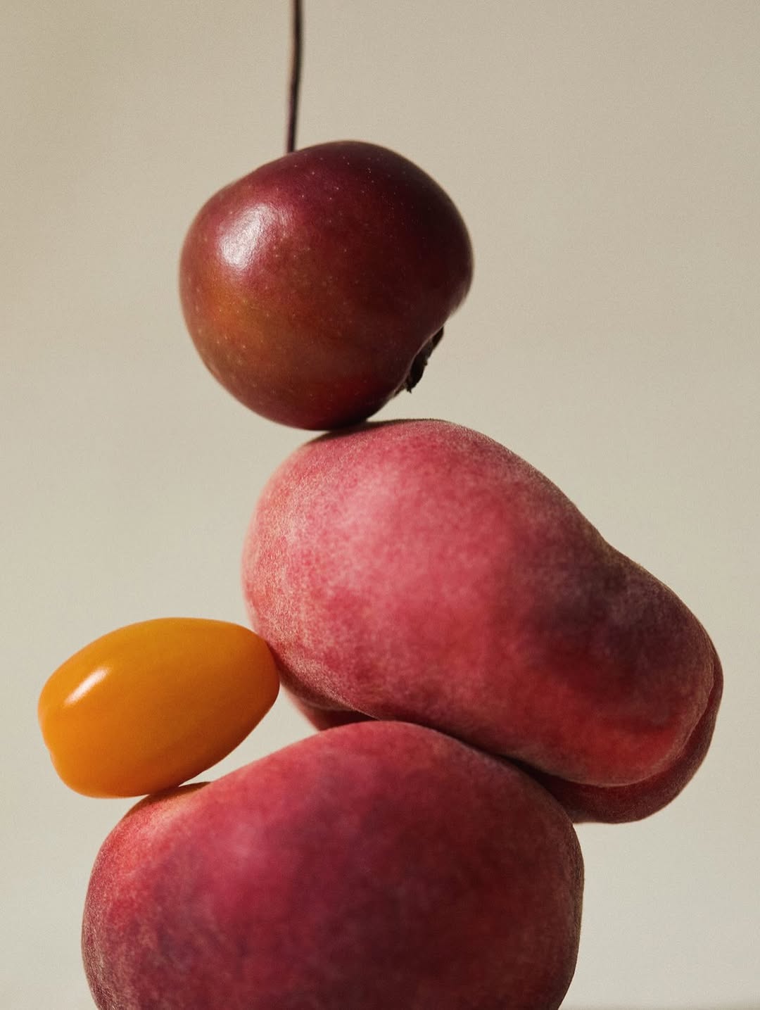 Nocera&Ferri Jul. 25