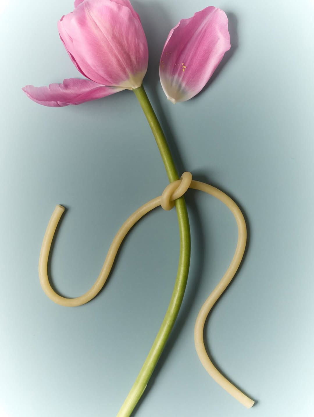 Nocera&Ferri Sep. 25